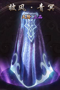 莽荒纪披风天阶上品
