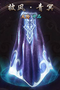 莽荒纪披风天阶中品