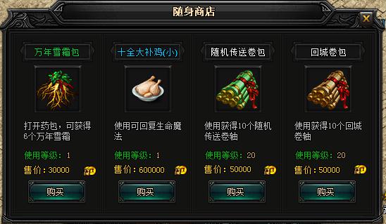 屠龙传世私服