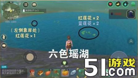 创造与魔法红蓝莲花位置分布在哪 创造与魔法红蓝莲花
