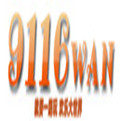 9116wan