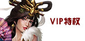 VIP特权