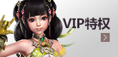 VIP特权