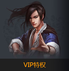 vip特权