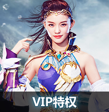 vip