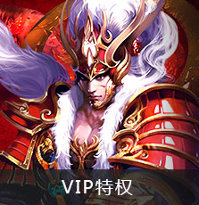 Vip特权