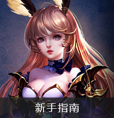 新手指南