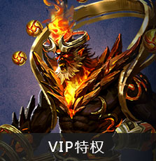 Vip特权