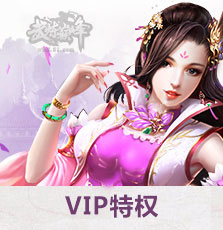 Vip特权