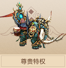 vip特权
