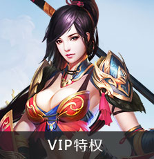 vip特权