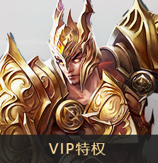 VIP特权