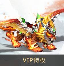 vip特权