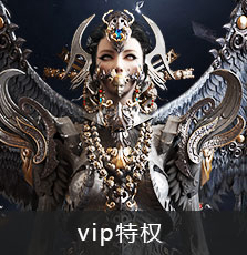 vip