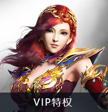 VIP特权