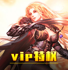 vip特权