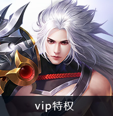 vip特权