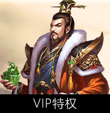 VIP特权