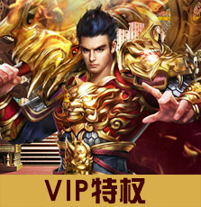 vip特权