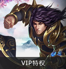 vip特权