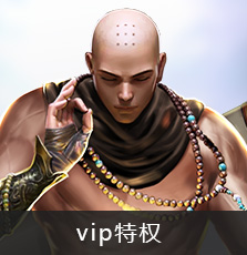 VIP特权
