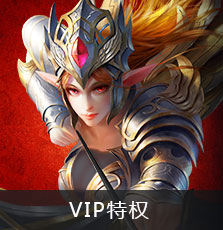 VIP特权