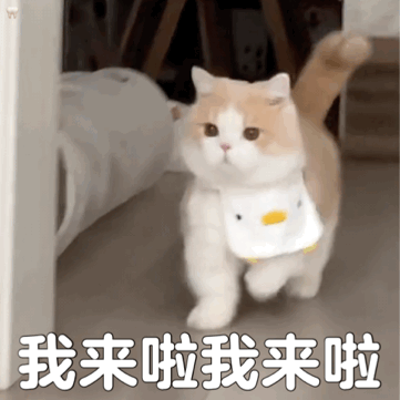 src=http___inews.gtimg.com_newsapp_match_0_13894406302_0&refer=http___inews.gtimg.gif