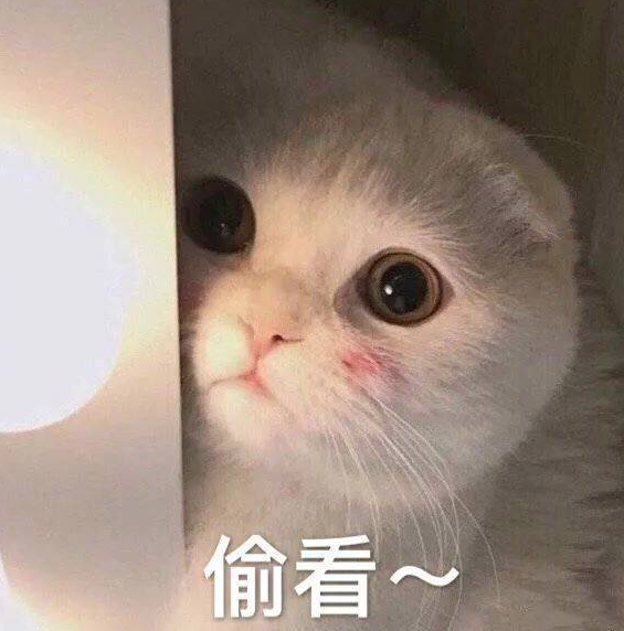 玄兵骑战网页游戏